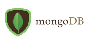 MERN Stack | Mongo DB